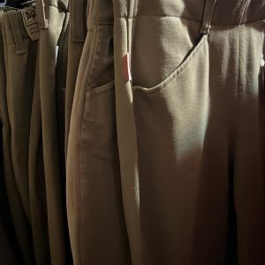 Ladies Breeches