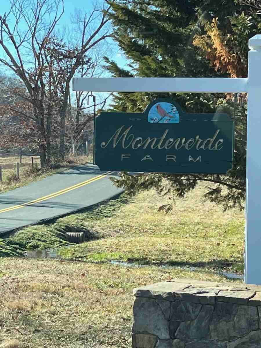 Monteverde sign