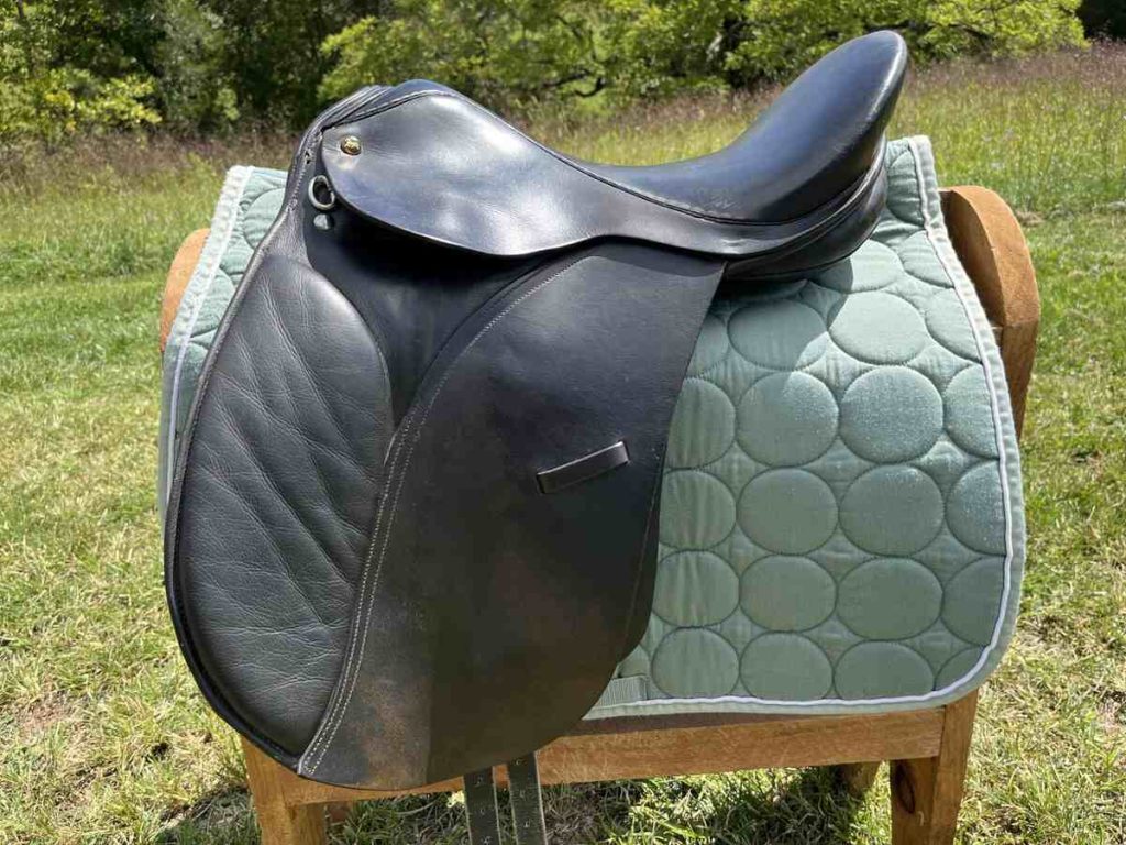 saddle 11