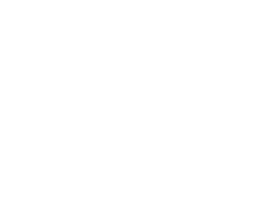 white logo loose horse