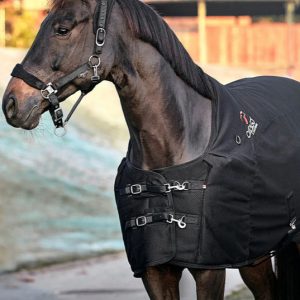 Horse Clothing & Boots