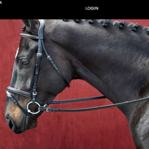 Reins
