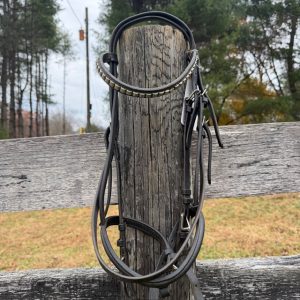 Bobby's Bridle