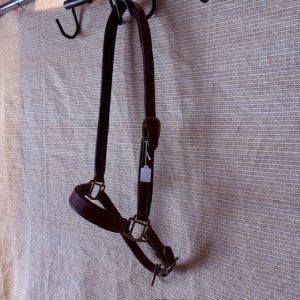 Padded Grooming Halter H/WB