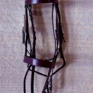 NEW Avignon Hunt Bridle w/Reins Cob