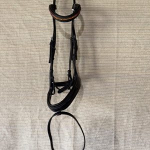 Passier Dressage Bridle Horse