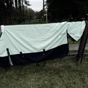 81" Turnout Sheet